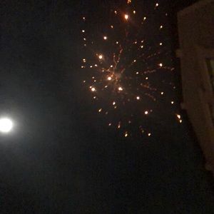 Meet your Posher, Dolly